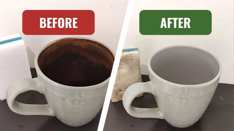 how to remove tea stains from a cup