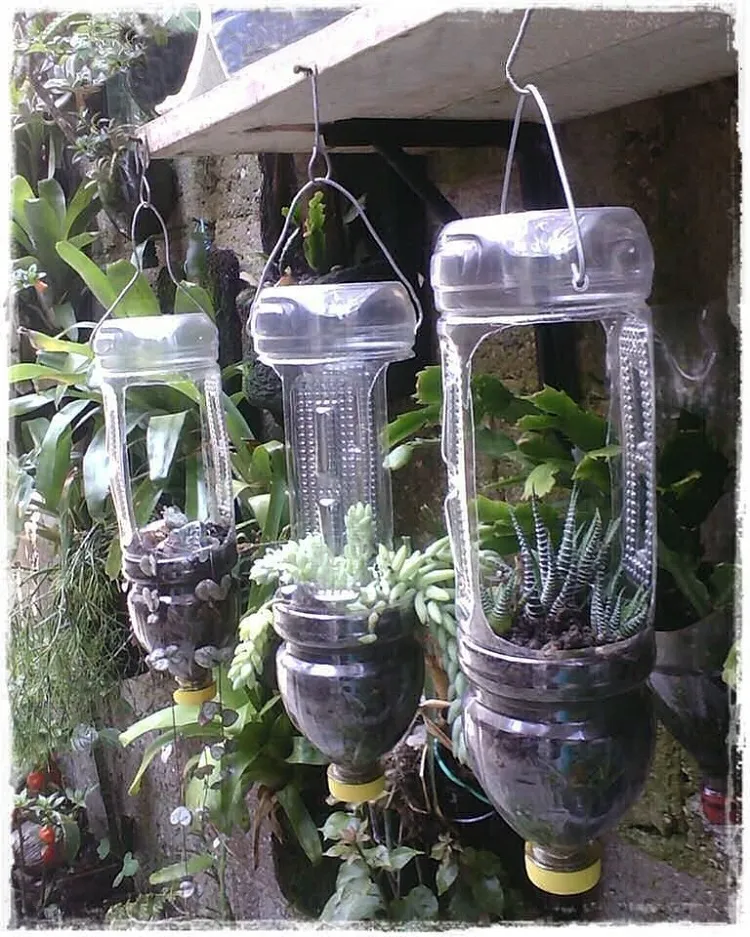 how to reuse plastic bottles for plants turn them in pots (1)