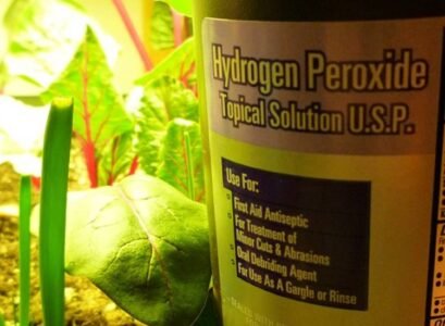 hydrogen peroxide for plant roots dilute 3 percent solution with water 1