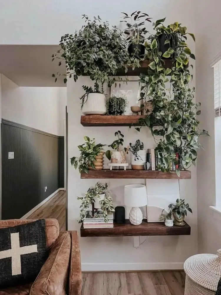 living room plant decoration 2023