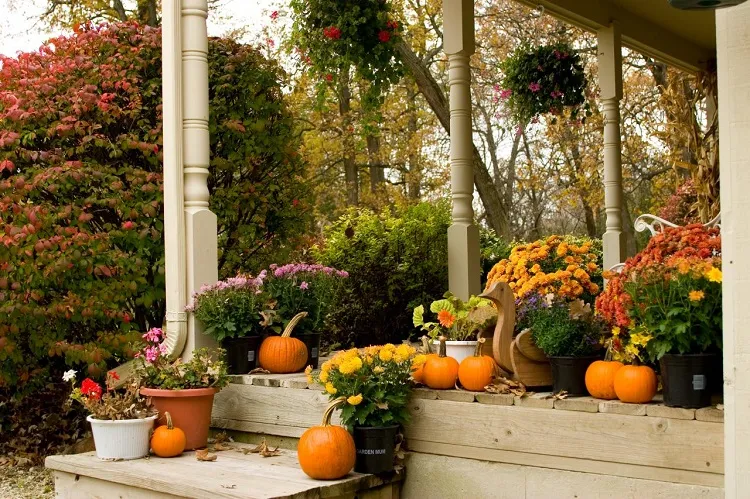 modern fall porch decor use beige and neutral tones as a basis and place colorful items