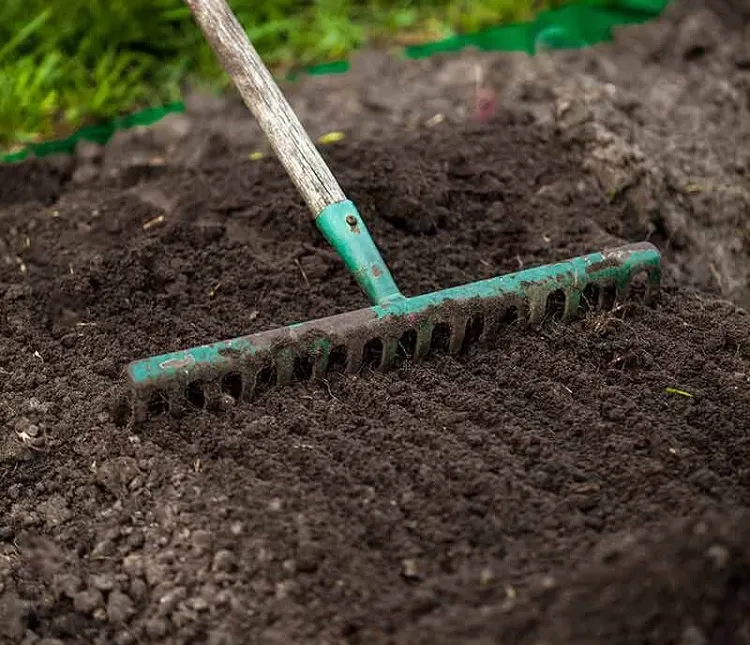 prepare garden soil for fall loosen soil particles