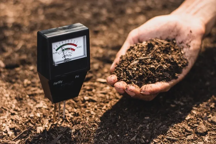 prepare garden soil for fall mulching to enhance the soil structure