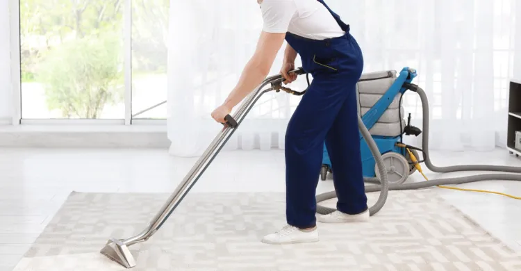 professionally clean your carpets