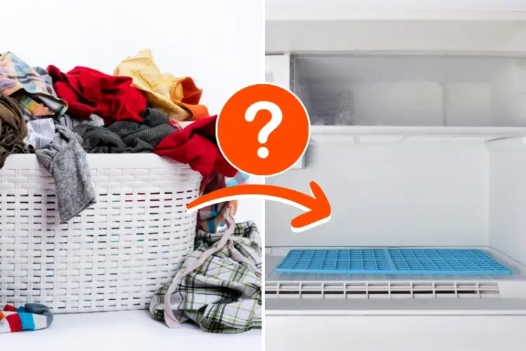 put clothes in the freezer compartment and leave overnight against odor