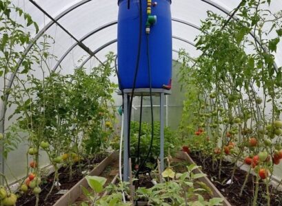 rain barrel with drip irrigation collects rainwater from the roof