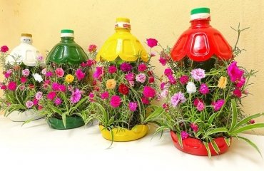 reusing plastic bottles in the garden grow seedlings in bottles