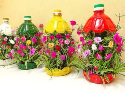 reusing plastic bottles in the garden grow seedlings in bottles