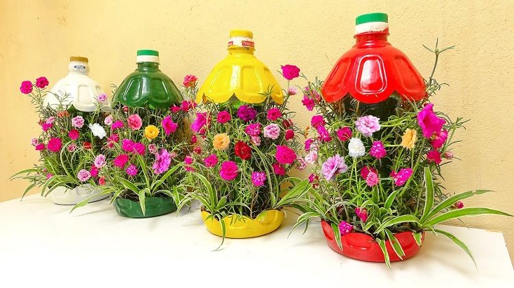 reusing plastic bottles in the garden grow seedlings in bottles