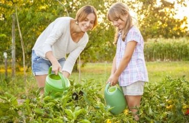 september gardening tips collect your vegetables