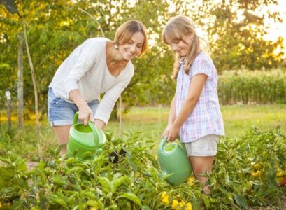 september gardening tips collect your vegetables