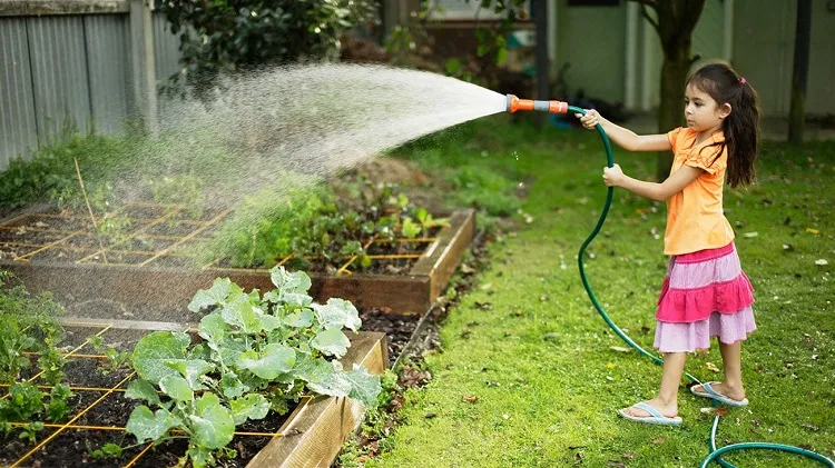 september gardening tips water the plants deeply