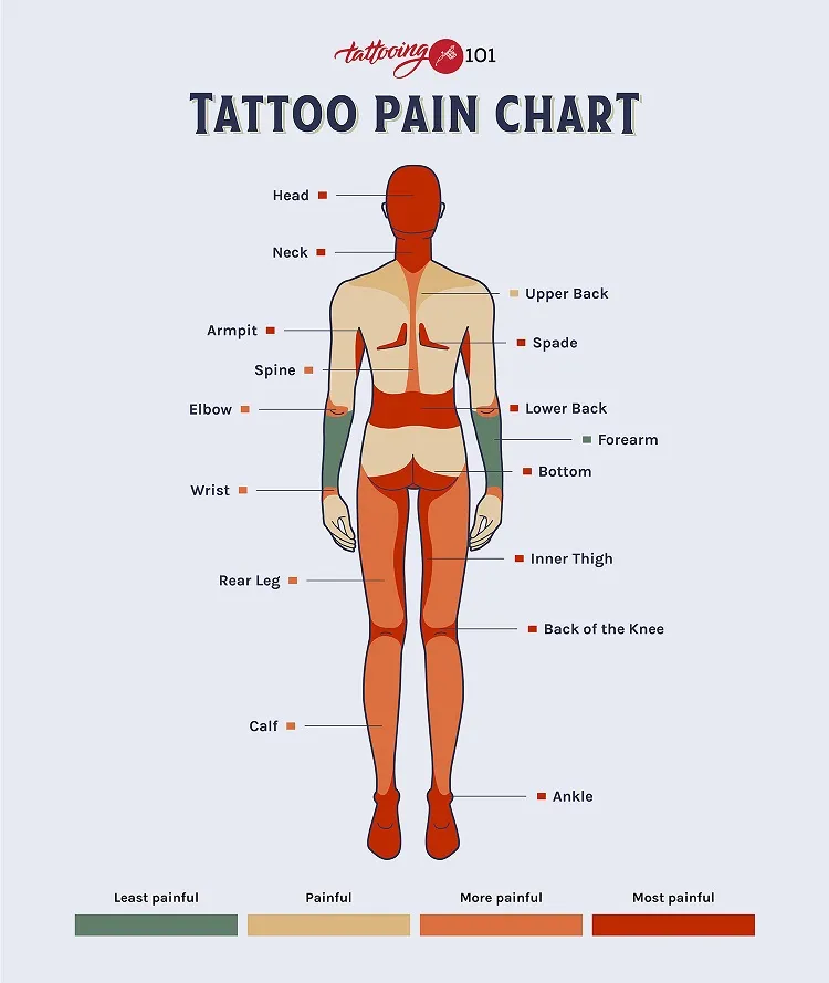 spine tattoo pain chart least most painful