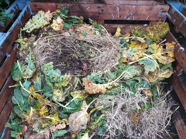 straw and plant leaves support the process of composting in the garden