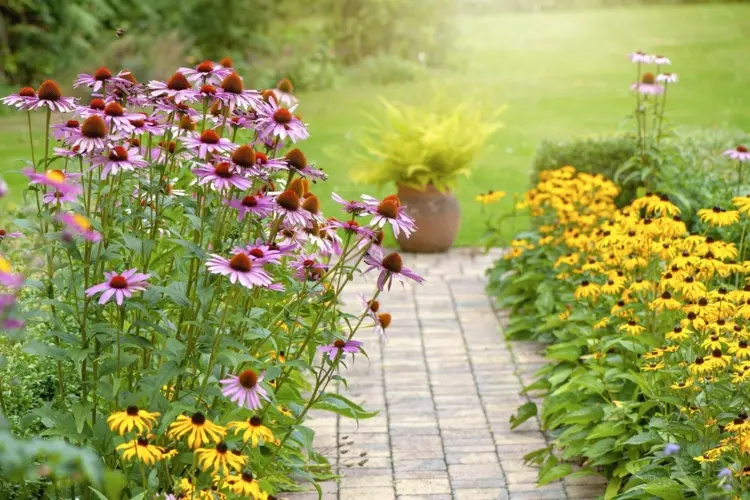 tips for fall garden care in perennial beds