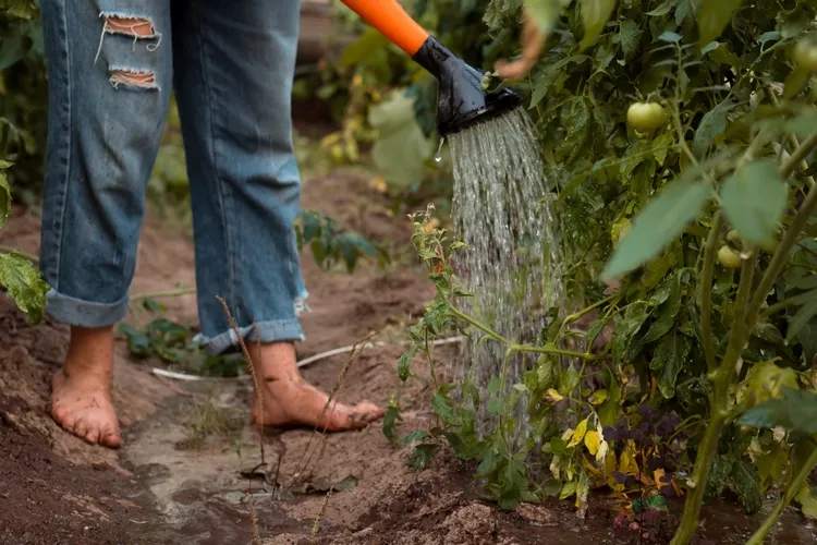 what shoes to wear when working around home and garden