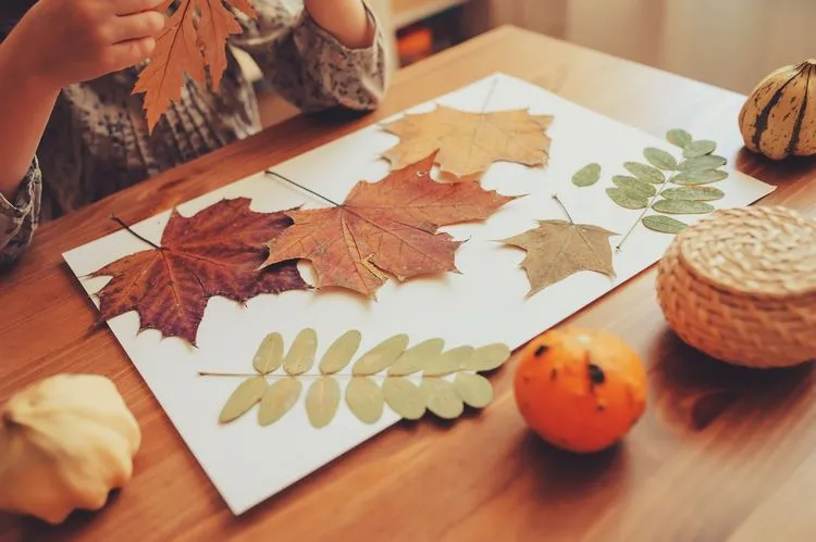 10+ easy fall leaf crafts for kids to decorate your home