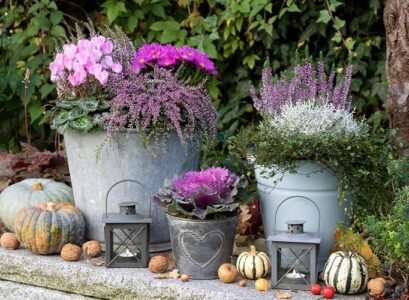 7 low maintenance plants for fall planters porch decor ideas
