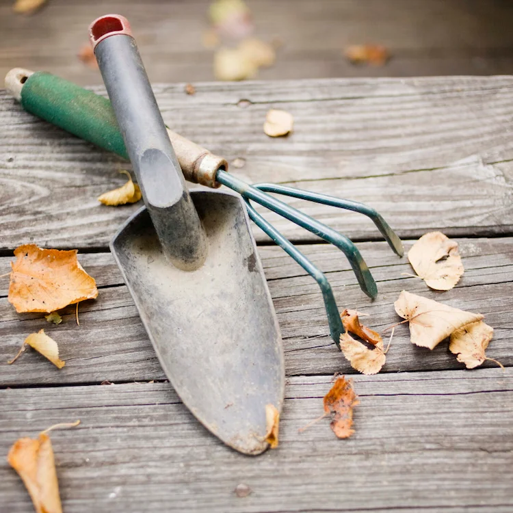 clean and sharpen the garden tools in the fall