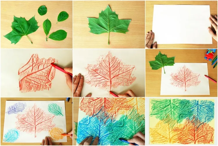crayon leaf rubbings fun craft activities for kids