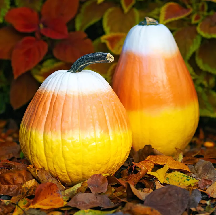 diy outdoor pumpkin decoration ideas