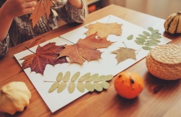 easy fall crafts for kids with colored leaves