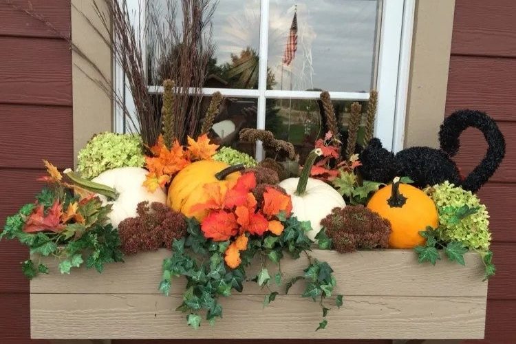 easy window box fall decorating ideas