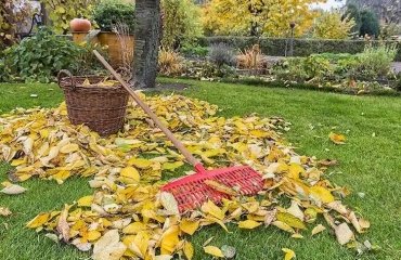 fall gardening tips 10 important tasks to complete