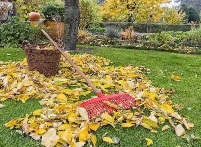 fall gardening tips 10 important tasks to complete