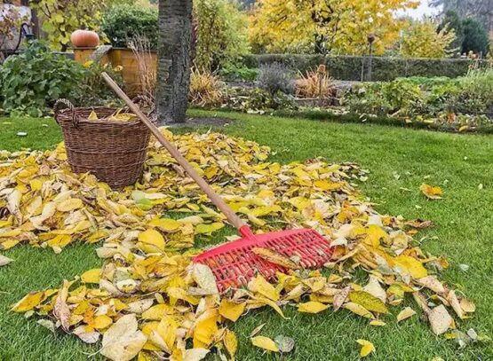 fall gardening tips 10 important tasks to complete