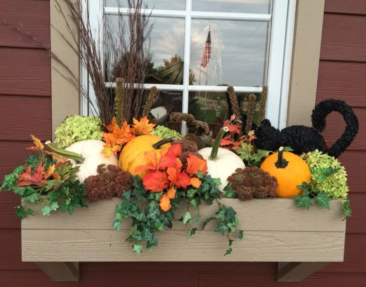 fall window box decorating ideas pumpkins and black cat silhouette