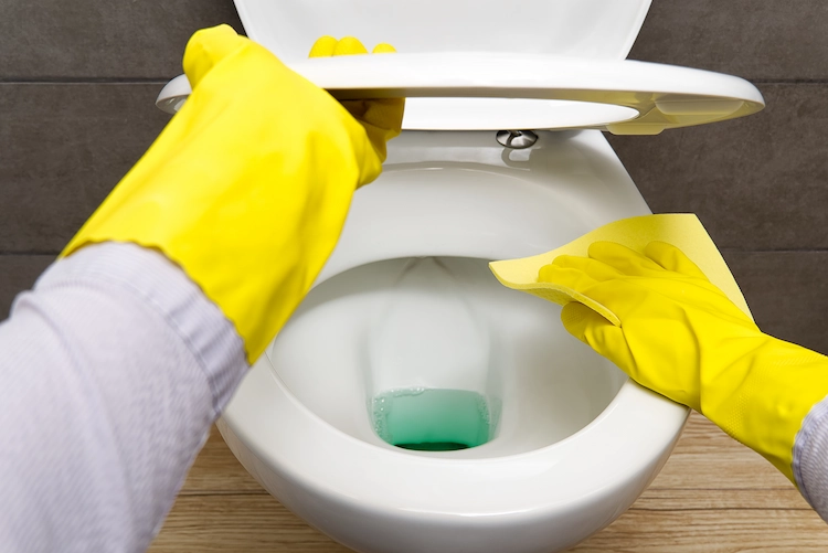 how to clean a yellowed toilet seat with a clean cloth and common household products