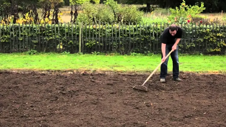 how to prepare the soil before sowing grass seeds in october