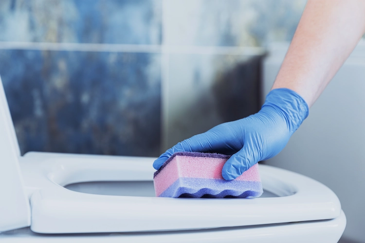use kitchen sponges suitable for plastic surfaces such as toilet seats when cleaning