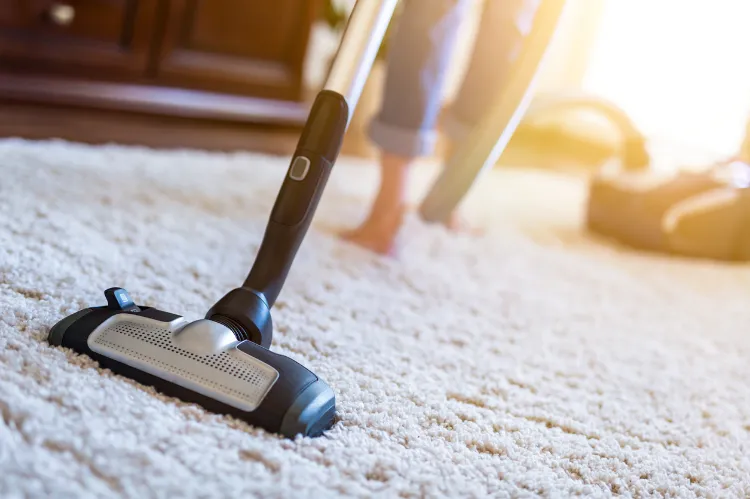 clean and vacuum the carpet