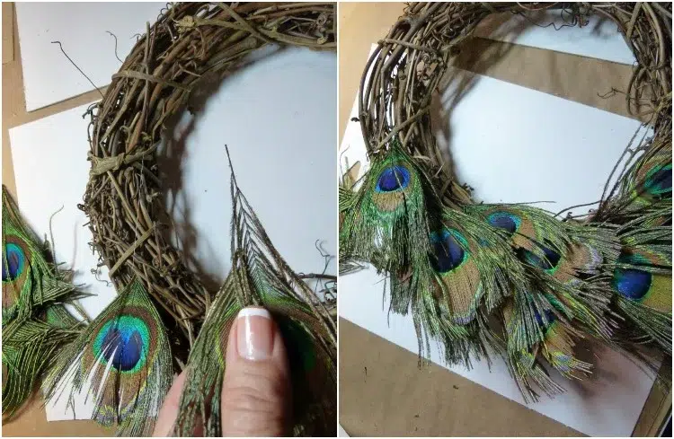 decoration idea with peacock feathers making autumn door wreath