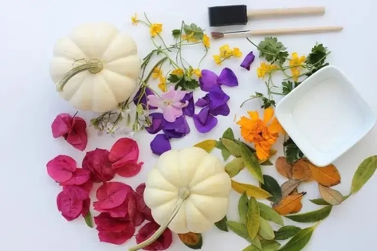 fall decoration easy to make white pumpkins herbarium tutorial