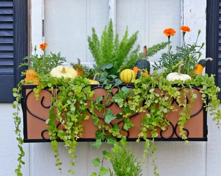 fall decorations for window boxes with ivy and pumpkins