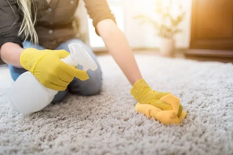 fall home cleaning living room carpet clean with vinegar