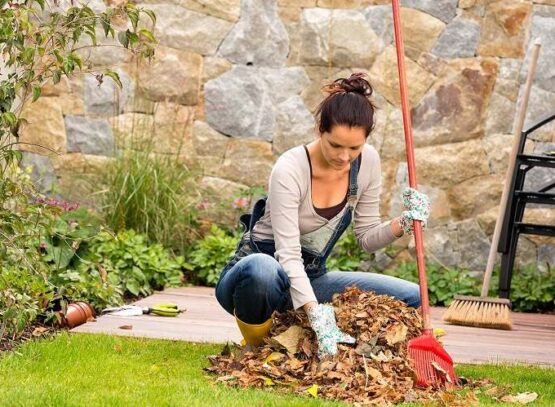 garden cleaning guide what to plant in garden in october