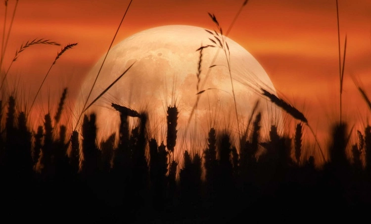 harvest moon september 2023 spiritual meaning for each zodiac sign a guide