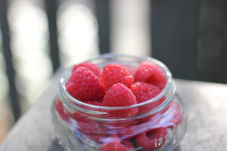 how long to keep berries in a jar