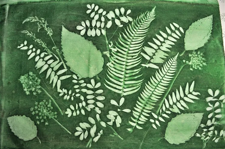 how to do leaf printing on fabric group the leaves in clusters