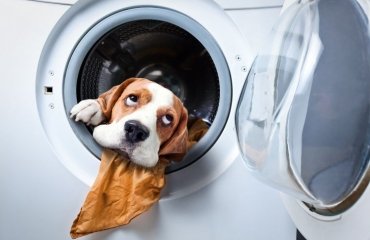 how to get pet hair out of washer and dryer