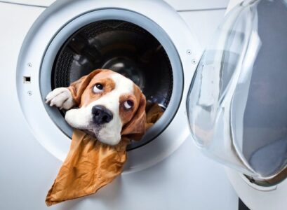 how to get pet hair out of washer and dryer