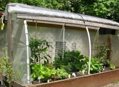 how to plant a raised bed in september vegetables herbs suggestions tips advice