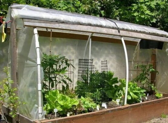 how to plant a raised bed in september vegetables herbs suggestions tips advice