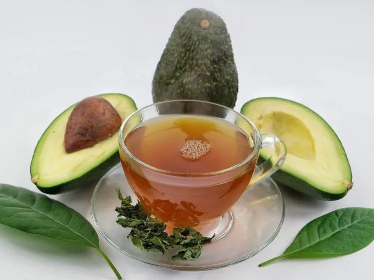 how to prepare avocado seed tea