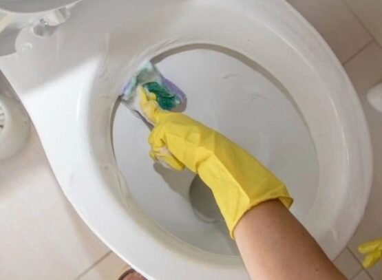 how to remove urine scale from under the toilet rim with home remedies