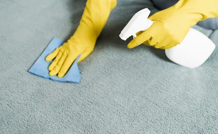 how to remove wet latex paint out of carpet